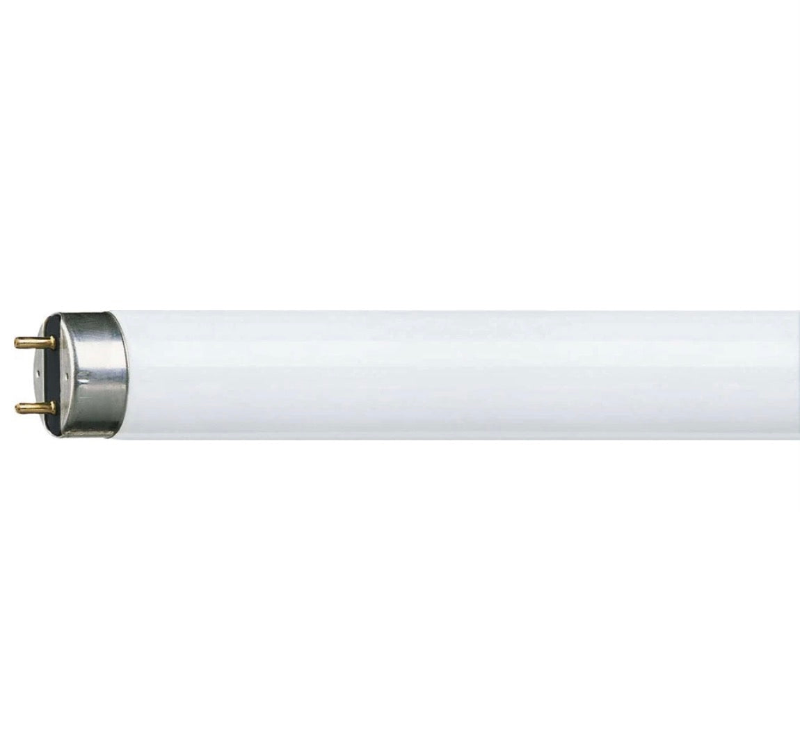 Philips TL-buis 18W | Koel wit