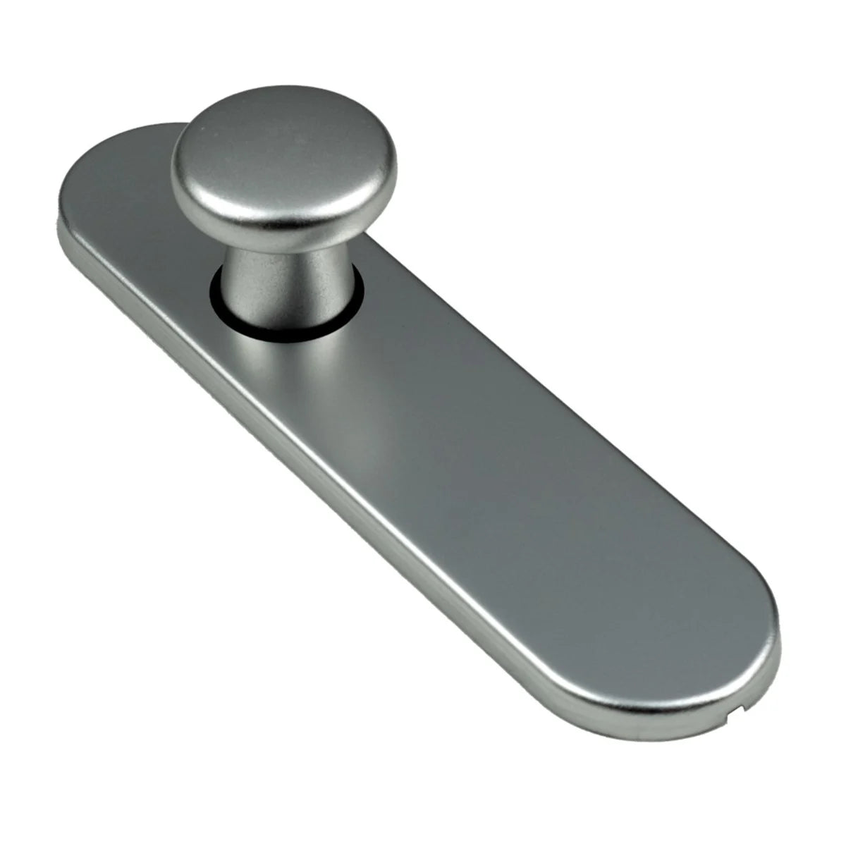 AMI Kortschild 177/1 ovaal Blind met vaste knop Aluminium 177x44
